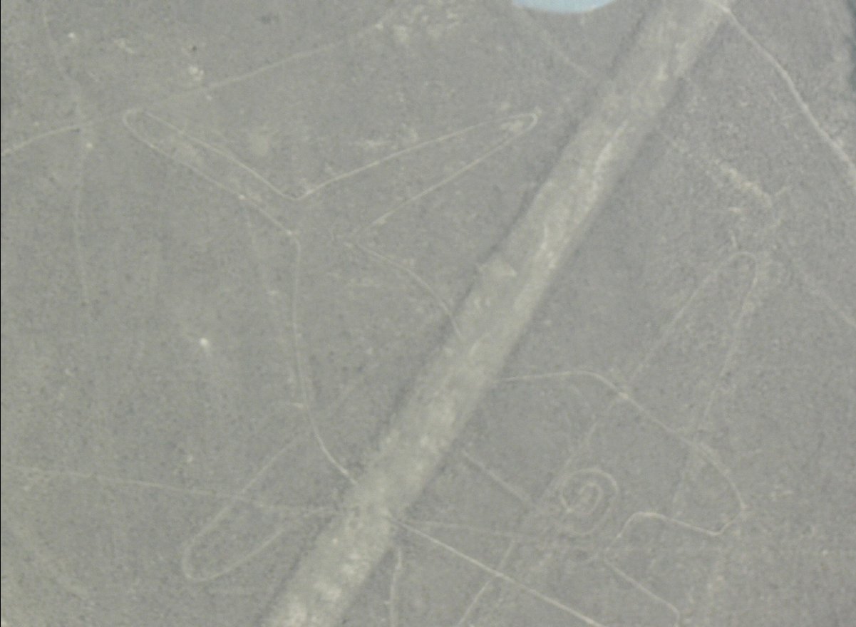 Nasca Lines18 - Whale